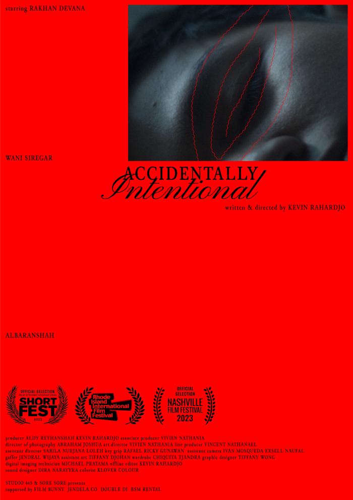 ACCIDENTALLY INTENTIONAL – Red Sea Film